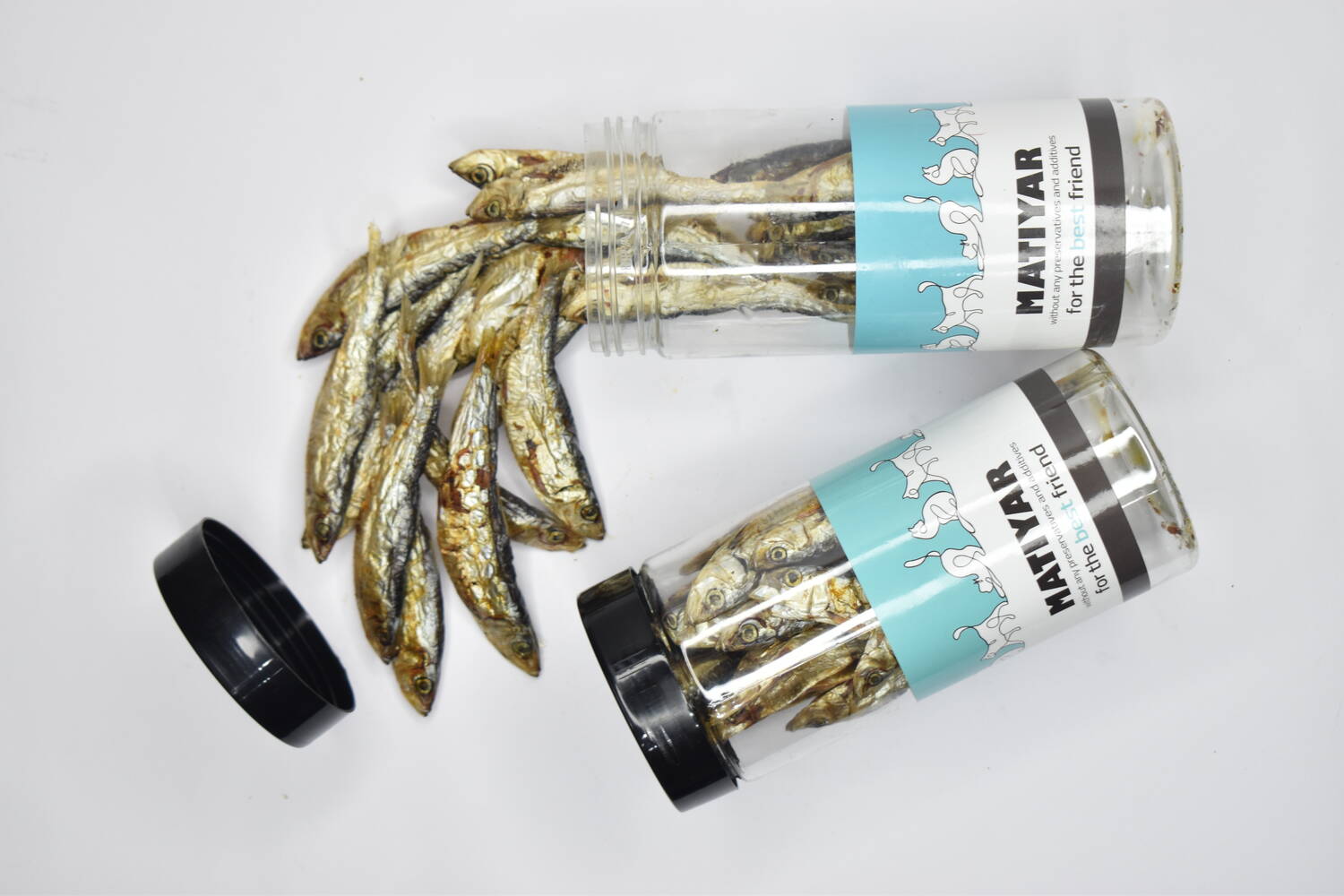 تشویقی سگ ماهی کیلکا ماتیار